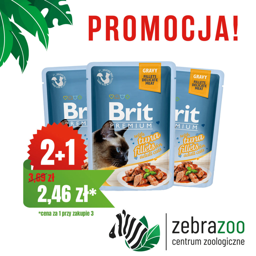 PROMOCJA 2+1 GRATIS  Brit Premium Cat TUŃCZYK W SOSIE