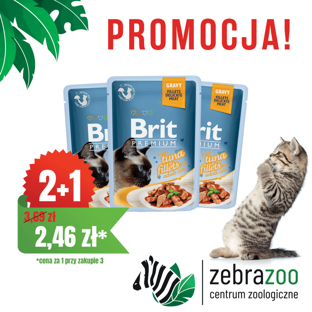 Mokre karmy Premium Cat TUŃCZYK W SOSIE, PROMOCJA 2+1 GRATIS